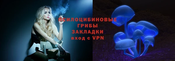круглые Бронницы