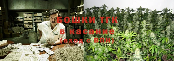 дмт Бородино