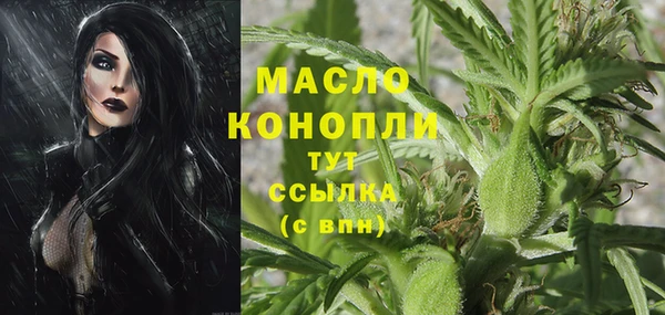 дмт Бородино