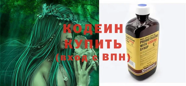 дмт Бородино