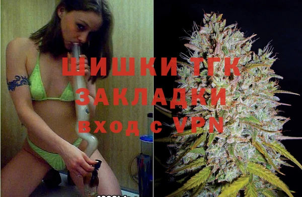 гашик Аркадак