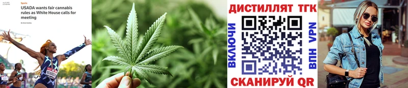 mega зеркало  Козьмодемьянск  Дистиллят ТГК концентрат 