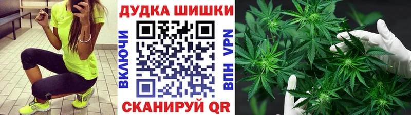 Конопля семена  как найти закладки  Козьмодемьянск 